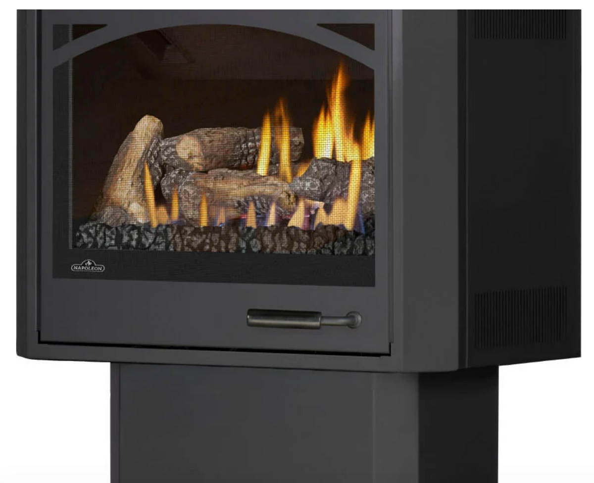Napoleon Havelock Elite Series Direct Vent Gas Stove