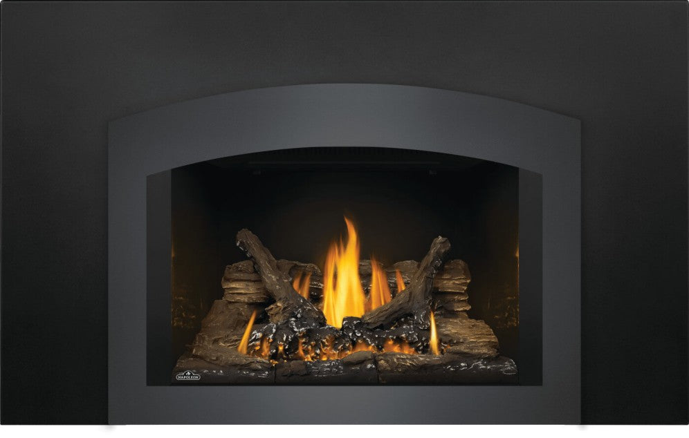 Napoleon Oakville™ Series Gas Fireplace Insert