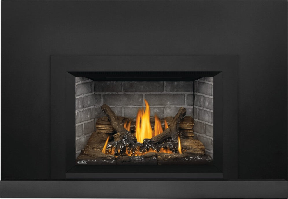 Napoleon Oakville™ Series Gas Fireplace Insert