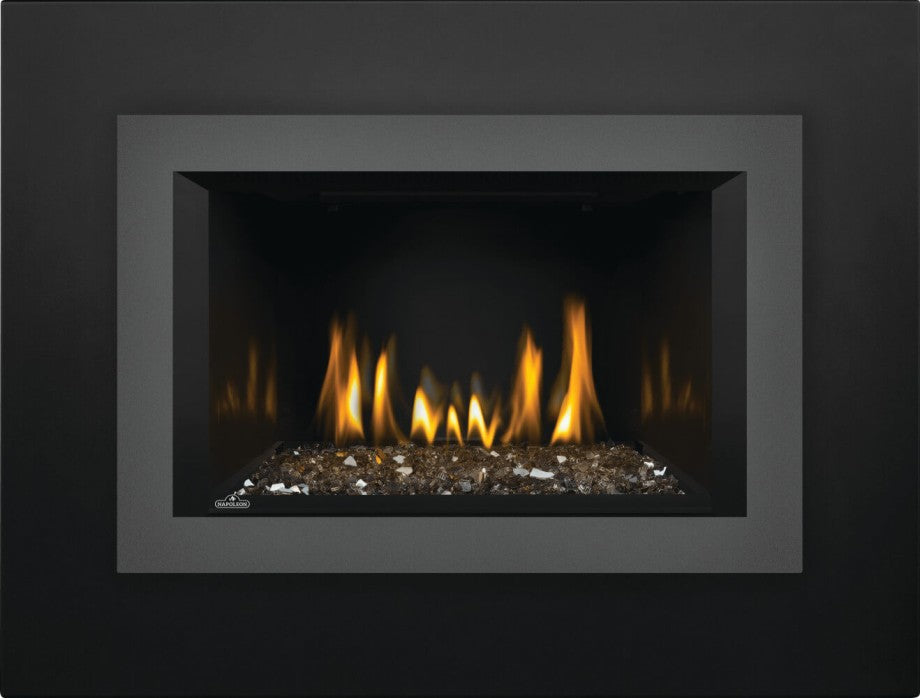 Napoleon Oakville™ Series Gas Fireplace Insert