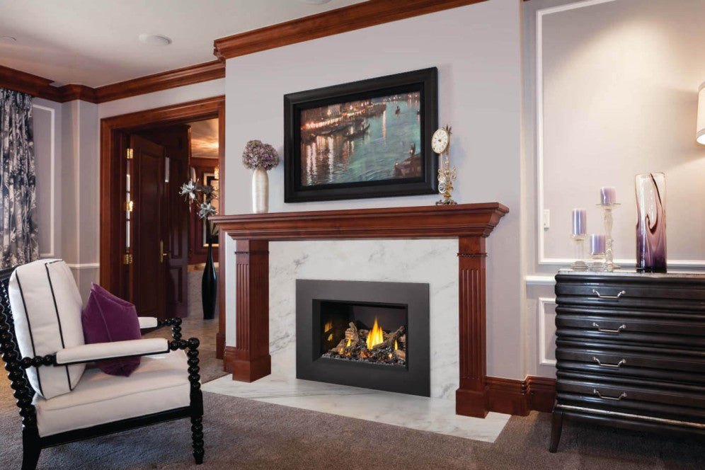 Napoleon Oakville™ Series Gas Fireplace Insert