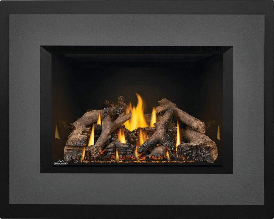 Napoleon Oakville™ Series Gas Fireplace Insert