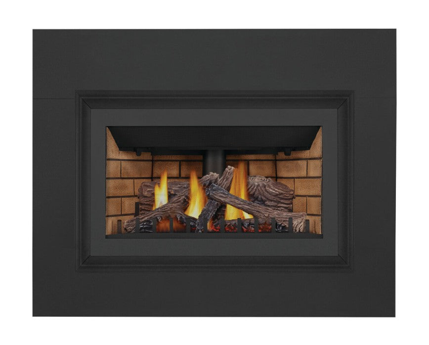 Napoleon Inspiration™ ZC Gas Fireplace Insert