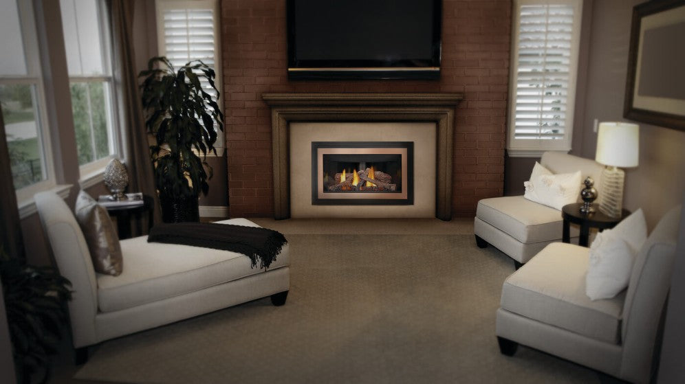 Napoleon Inspiration™ ZC Gas Fireplace Insert