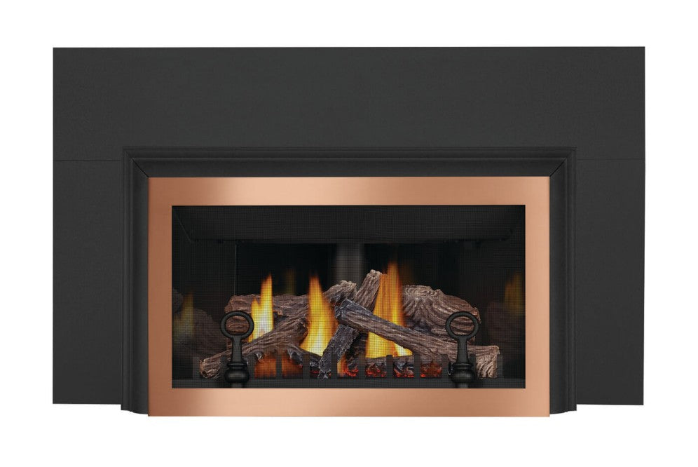 Napoleon Inspiration™ ZC Gas Fireplace Insert