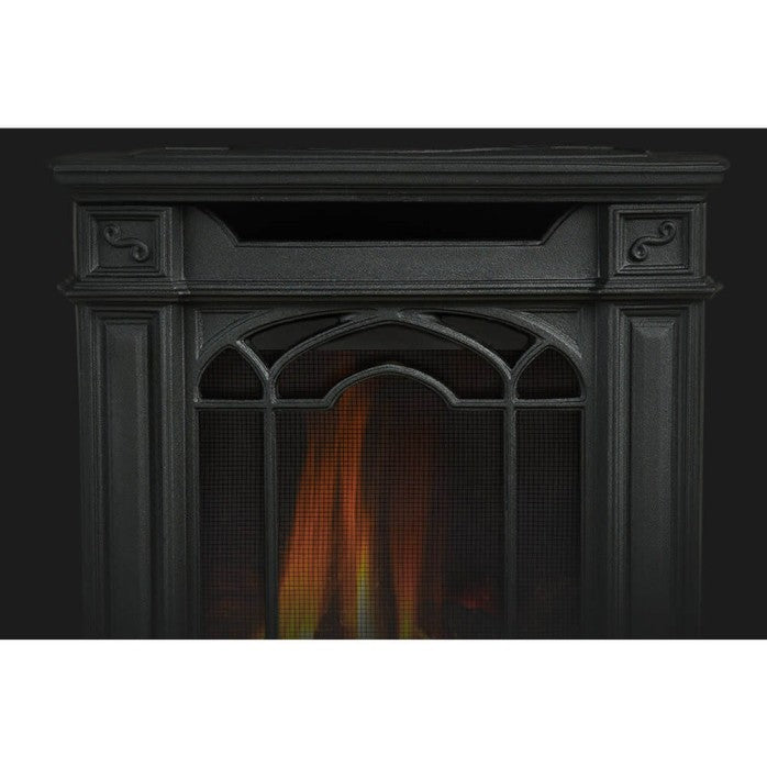 Napoleon Arlington™ Direct Vent Gas Stove