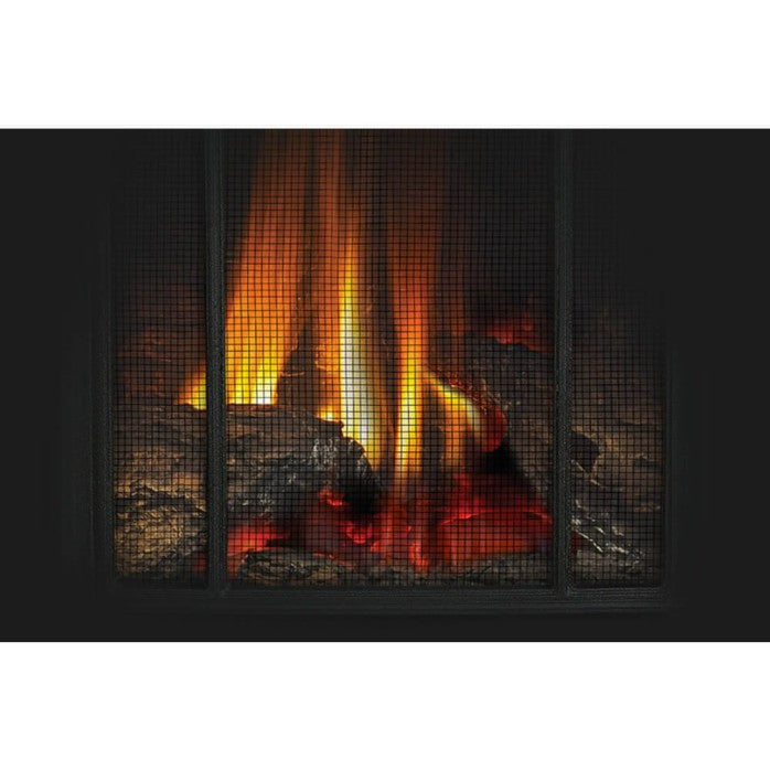 Napoleon Arlington™ Direct Vent Gas Stove