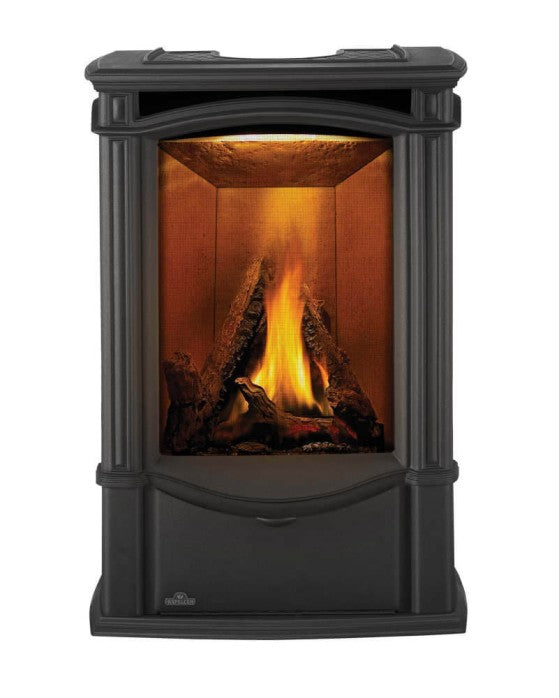 Napoleon Castlemore™ Direct Vent Gas Stove