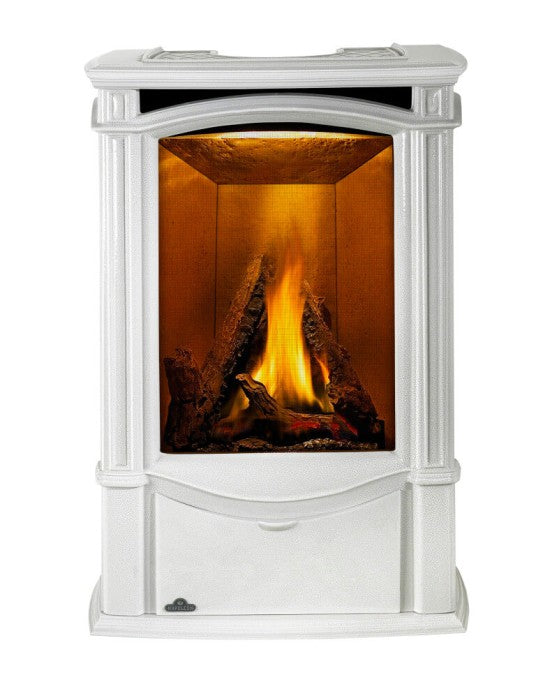 Napoleon Castlemore™ Direct Vent Gas Stove