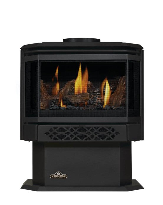 Napoleon Haliburton™ Direct Vent Gas Stove