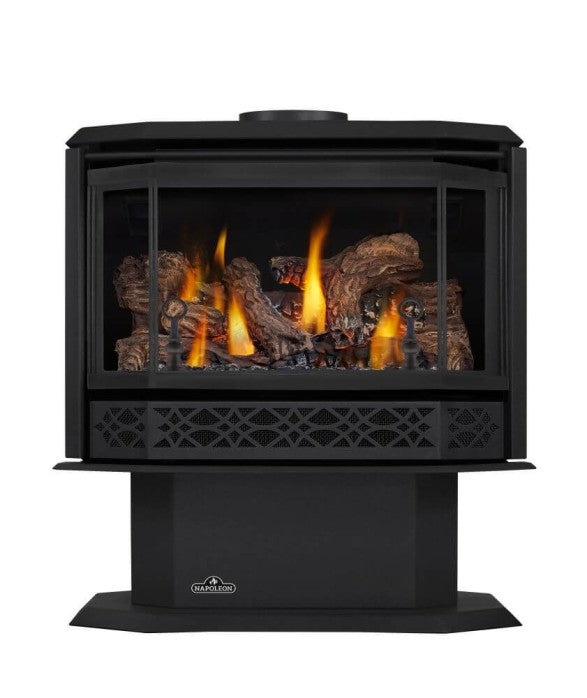 Napoleon Havelock™ Direct Vent Gas Stove