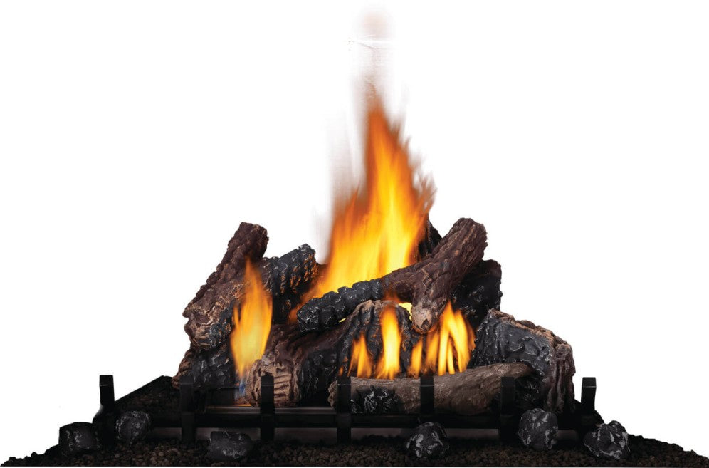 Napoleon Riverside™ 42 Clean Face Outdoor Fireplace