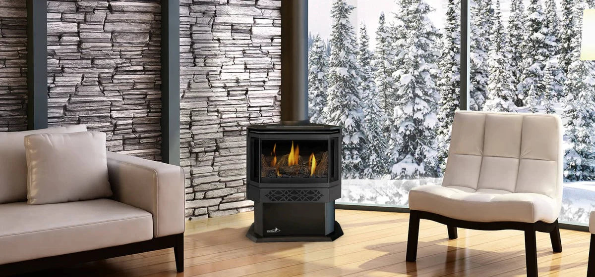 Napoleon Haliburton™ Direct Vent Gas Stove