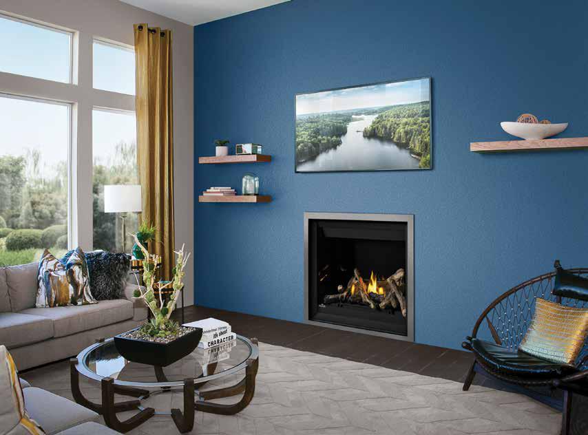 Napoleon Altitude Series Direct Vent Gas Fireplace